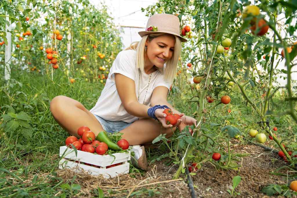 Woman with tomatos in hand