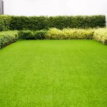 The Green Touch: A Comprehensive Guide to Commercial Lawn Care
