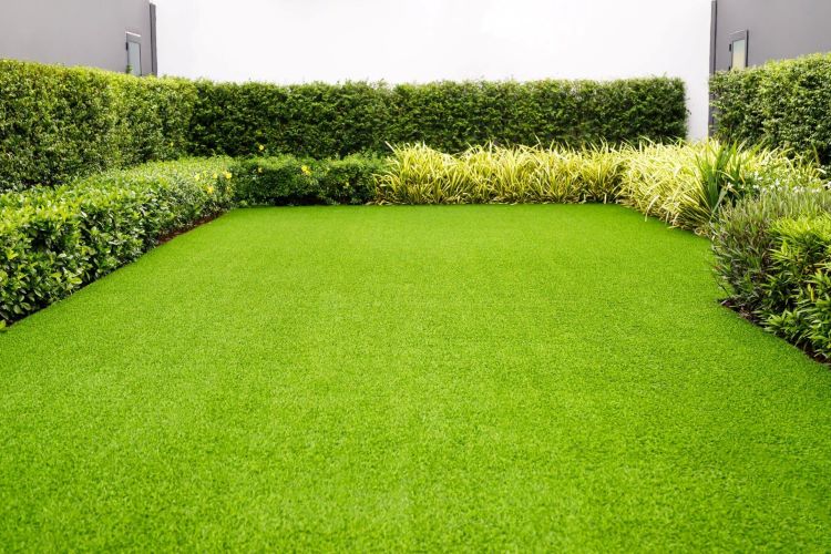 The Green Touch: A Comprehensive Guide to Commercial Lawn Care